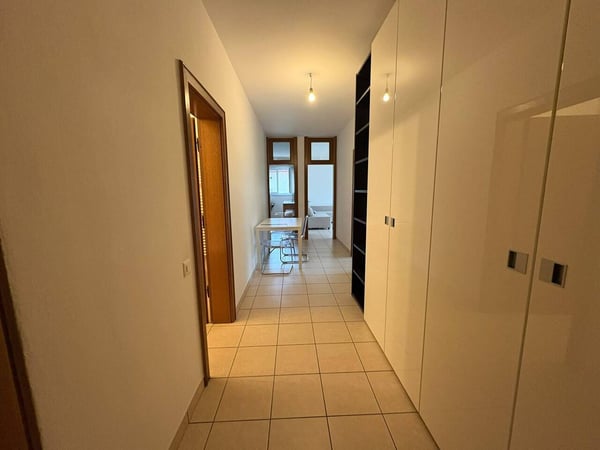 Luminoso 2.5 locali parzialmente arredato a Lugano 10