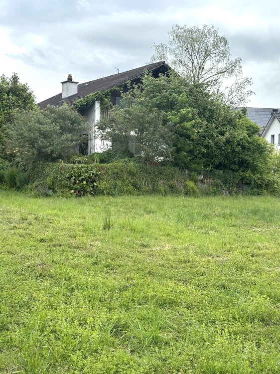 2'667 m² Bauland mit grossem Entwicklungspotenzial in Obfelden 6