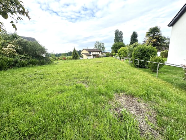 2'667 m² Bauland mit grossem Entwicklungspotenzial in Obfelden 2