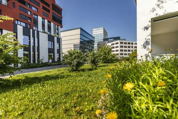 Flexible Büro- und Gewerbeflächen mit Vormieterausbau in Rotkreuz 4