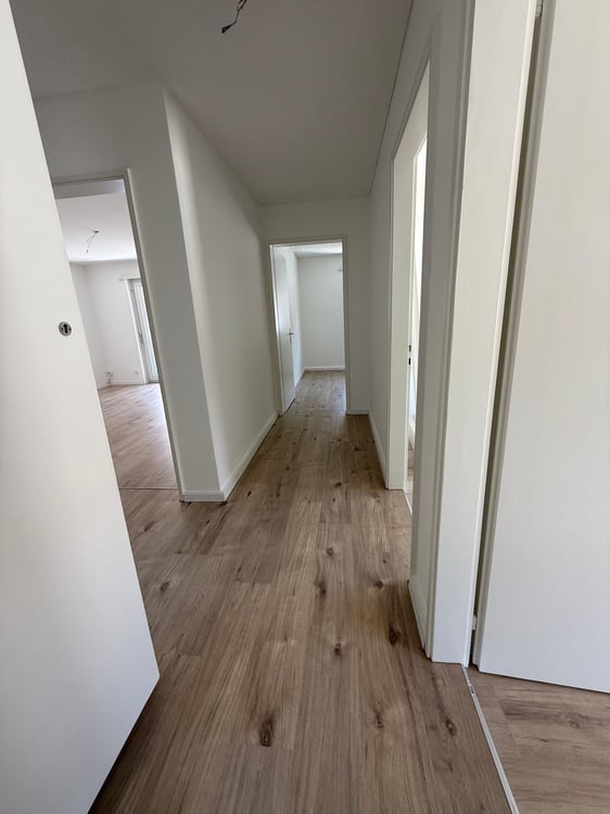 Neu renovierte 1.5-Zimmer-Wohnung in Trimbach – Per sofort oder nach Vereinbarung zu vermieten 4