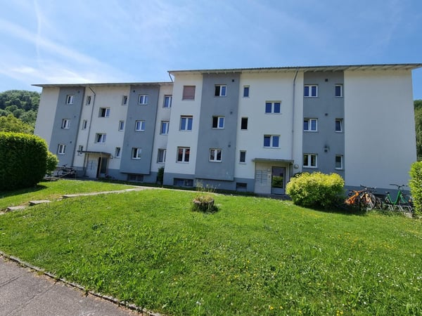 Neu renovierte 1.5-Zimmer-Wohnung in Trimbach – Per sofort oder nach Vereinbarung zu vermieten 1