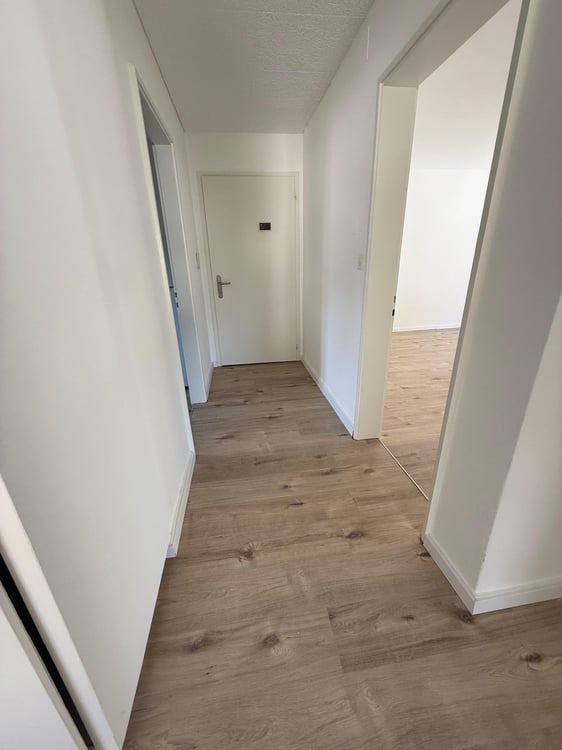 Neu renovierte 1.5-Zimmer-Wohnung in Trimbach – Per sofort oder nach Vereinbarung zu vermieten 2