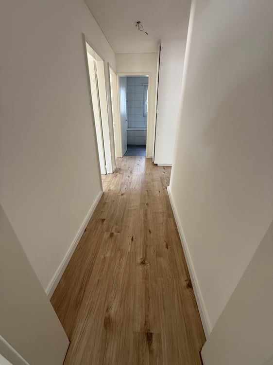 Neu renovierte 1.5-Zimmer-Wohnung in Trimbach – Per sofort oder nach Vereinbarung zu vermieten 3