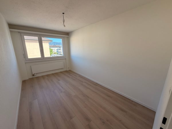 Helle 3.5-Zimmer-Wohnung mit Balkon und Kamin in Au SG 4