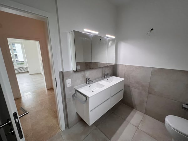 AFFITTASI LUMINOSO APPARTAMENTO RINNOVATO DI 1.5 LOCALI 12