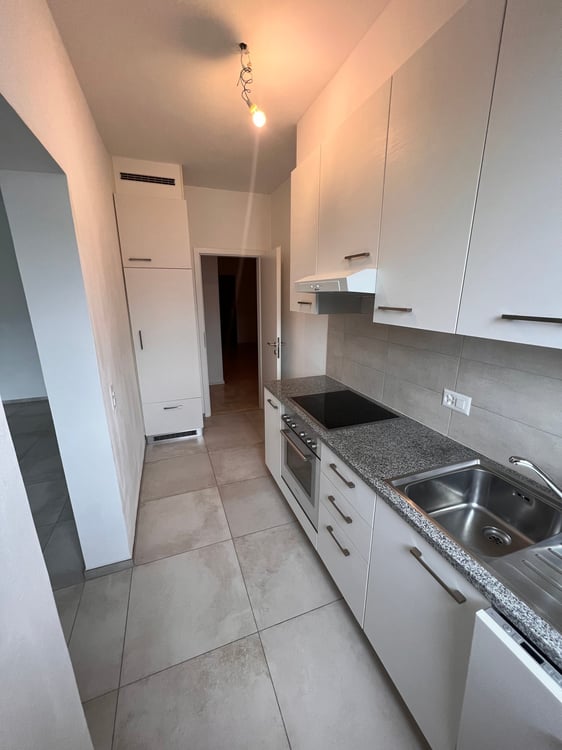 AFFITTASI LUMINOSO APPARTAMENTO RINNOVATO DI 1.5 LOCALI 6