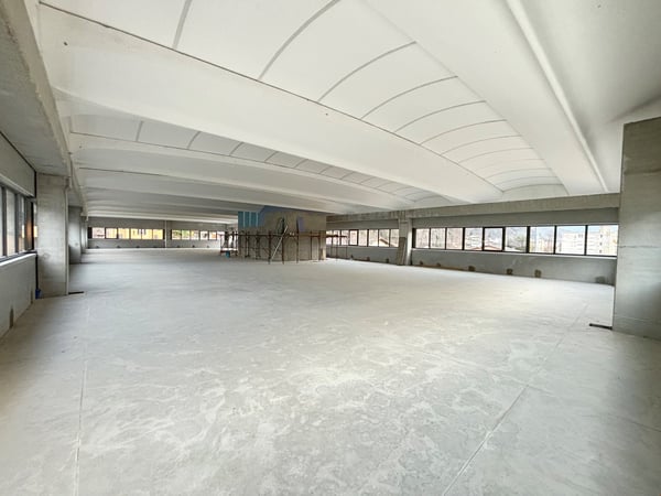 AFFITTASI A CRESCIANO CAPANNONE DI NUOVA COSTRUZIONE 9