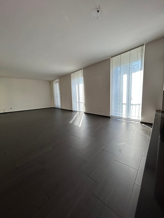 PONTE CAPRIASCA, grande villa moderna 6