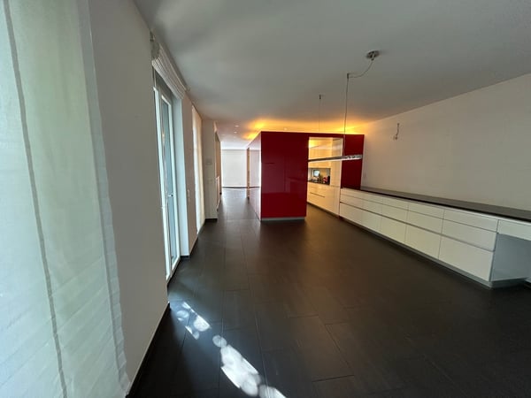 PONTE CAPRIASCA, grande villa moderna 4