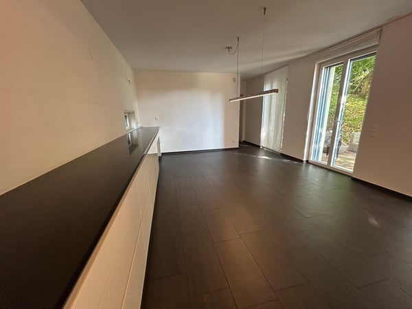 PONTE CAPRIASCA, grande villa moderna 2