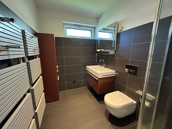 PONTE CAPRIASCA, grande villa moderna 8