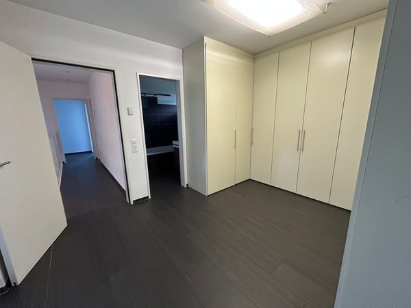 PONTE CAPRIASCA, grande villa moderna 11