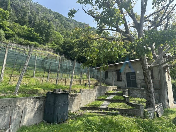 CASTEL SAN PIETRO - OBINO Terreno edificabile con rustico 3