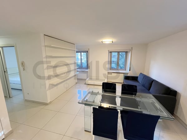 LUGANO  APPARTAMENTO MODERNO 1 LOCALI A DUE PASSI DAL CENTRO 9