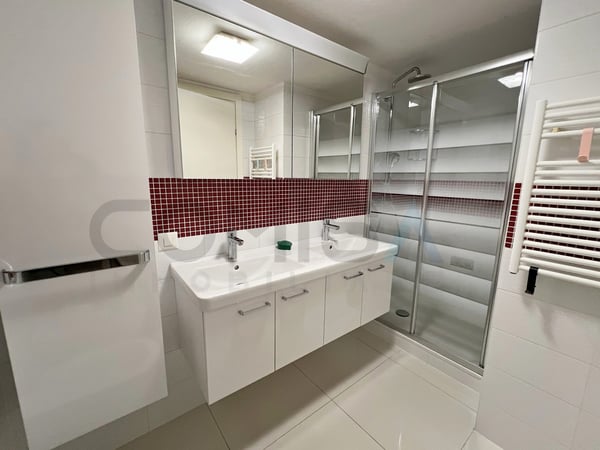 LUGANO  APPARTAMENTO MODERNO 1 LOCALI A DUE PASSI DAL CENTRO 12