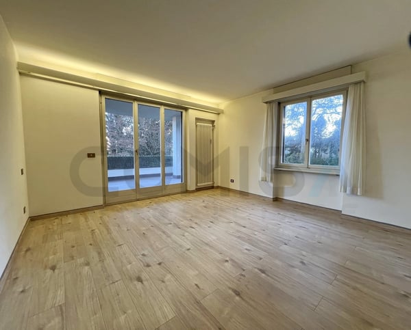Agra - Collina d'Oro Ampio appartamento 4.5 locali immerso nel verde 10