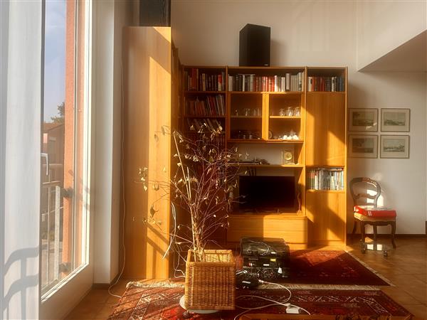 Chiasso: Casa unifamiliare 1.5 locali 7