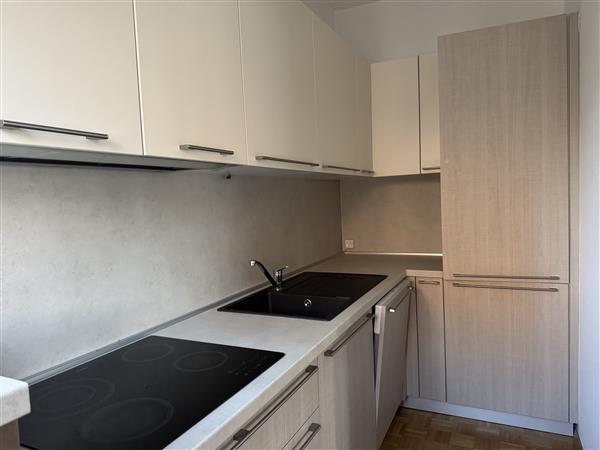 Cassarate: Appartamento arredato  1.5 locali 5