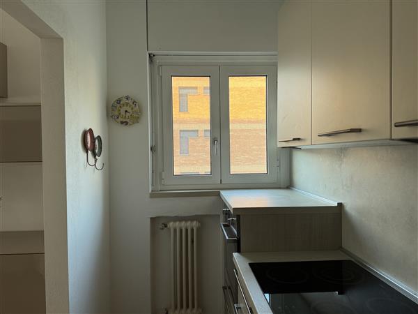 Cassarate: Appartamento arredato  1.5 locali 4