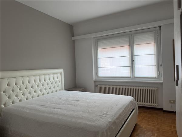 Cassarate: Appartamento arredato  1.5 locali 6