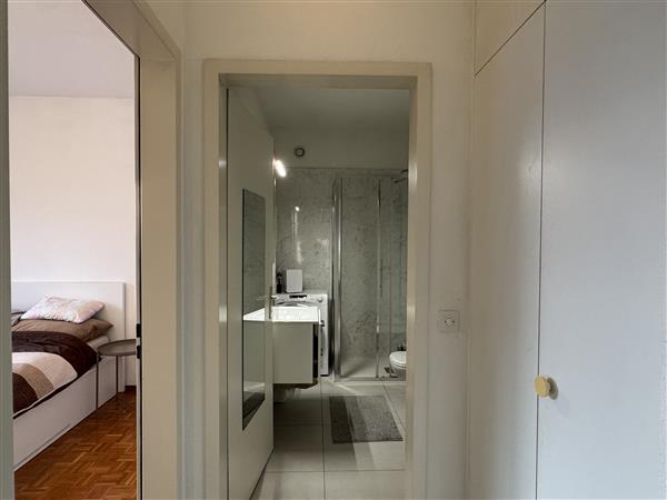 Pregassona: Appartamento 1.5 locali 7