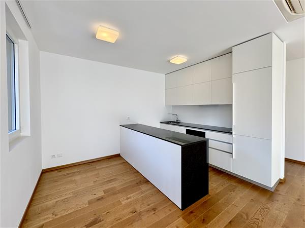 Lugano: Appartamento 1.5 locali 1