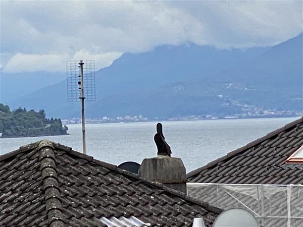 Brissago: Appartamento 3 locali 5