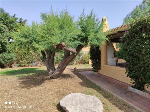 Sinnai: Villa 13 locali 3