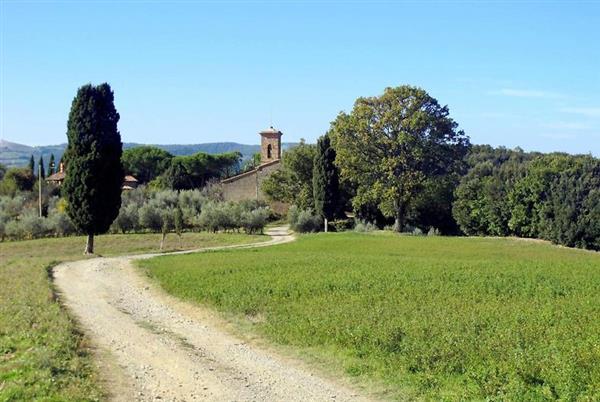 Pisa: Casale 3