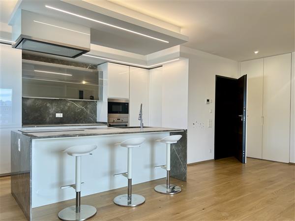 Pregassona: Attico 4.5 locali 3