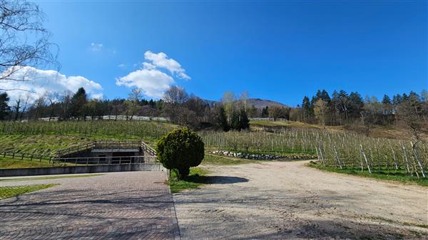 Pergine Valsugana: Albergo 8