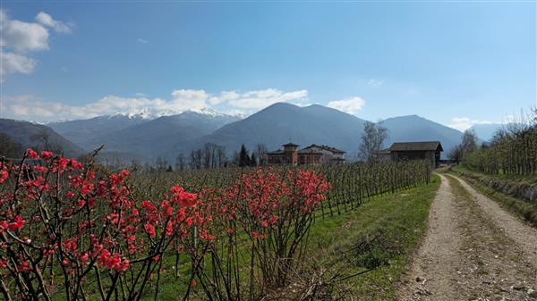 Pergine Valsugana: Albergo 5