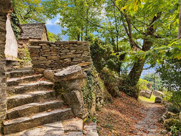 SEMIONE: Rustico 2.5 locali 4