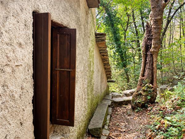 SEMIONE: Rustico 2.5 locali 11
