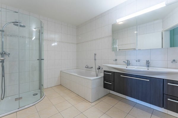 Grossi 4 ½-Zemmer-Terrassewohnig met troumhafter Ussecht 8