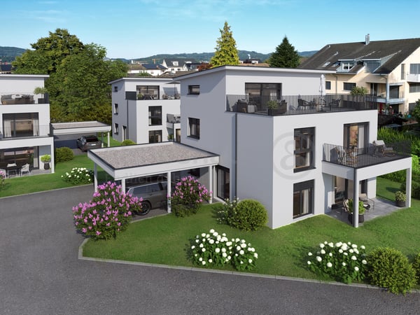 1.5Zi.-Neubauprojekt EFH mit Attika an privilegierter Lage in Rothrist 2