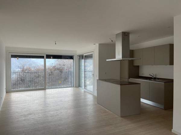 OTTIMO INVESIMENTO AMPIO 1.5 LOCALI CON AMPIA TERRAZZA E GIARDINO 1