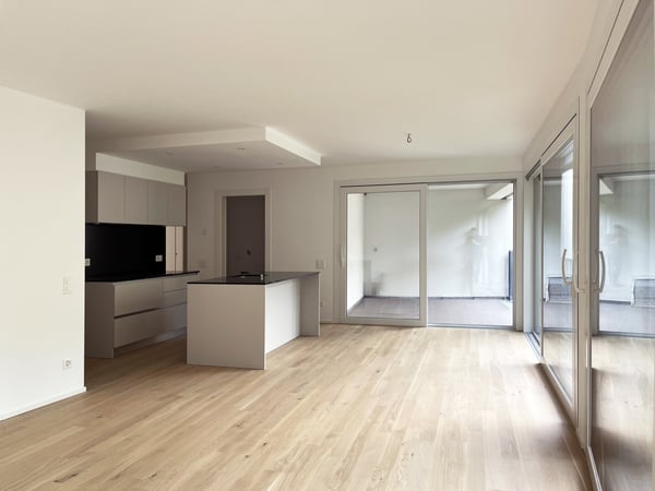 Nuovo 1.5 locali a REDDITO con grande terrazza 2