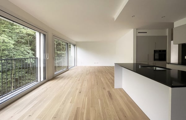 Nuovo 1.5 locali a REDDITO con grande terrazza 1