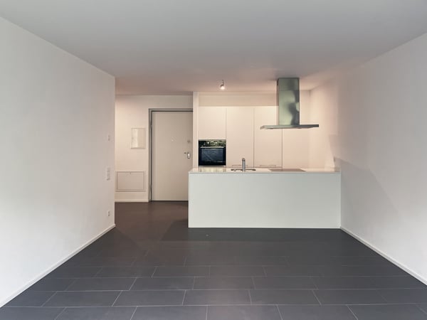 Ampio appartamento 1.5 locali in Nuova Residenza 2