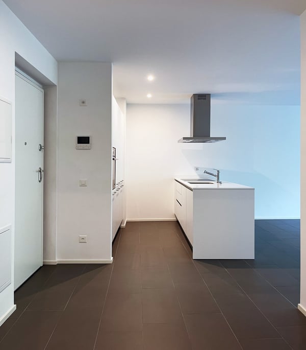 Ampio appartamento 1.5 locali in Nuova Residenza 3