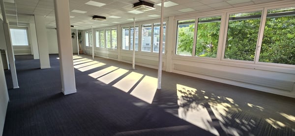 CHIASSO – STABILE COMMERCIALE PER IMPRESE DI ALTO PROFILO 6