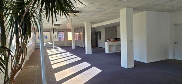 CHIASSO – STABILE COMMERCIALE PER IMPRESE DI ALTO PROFILO 4