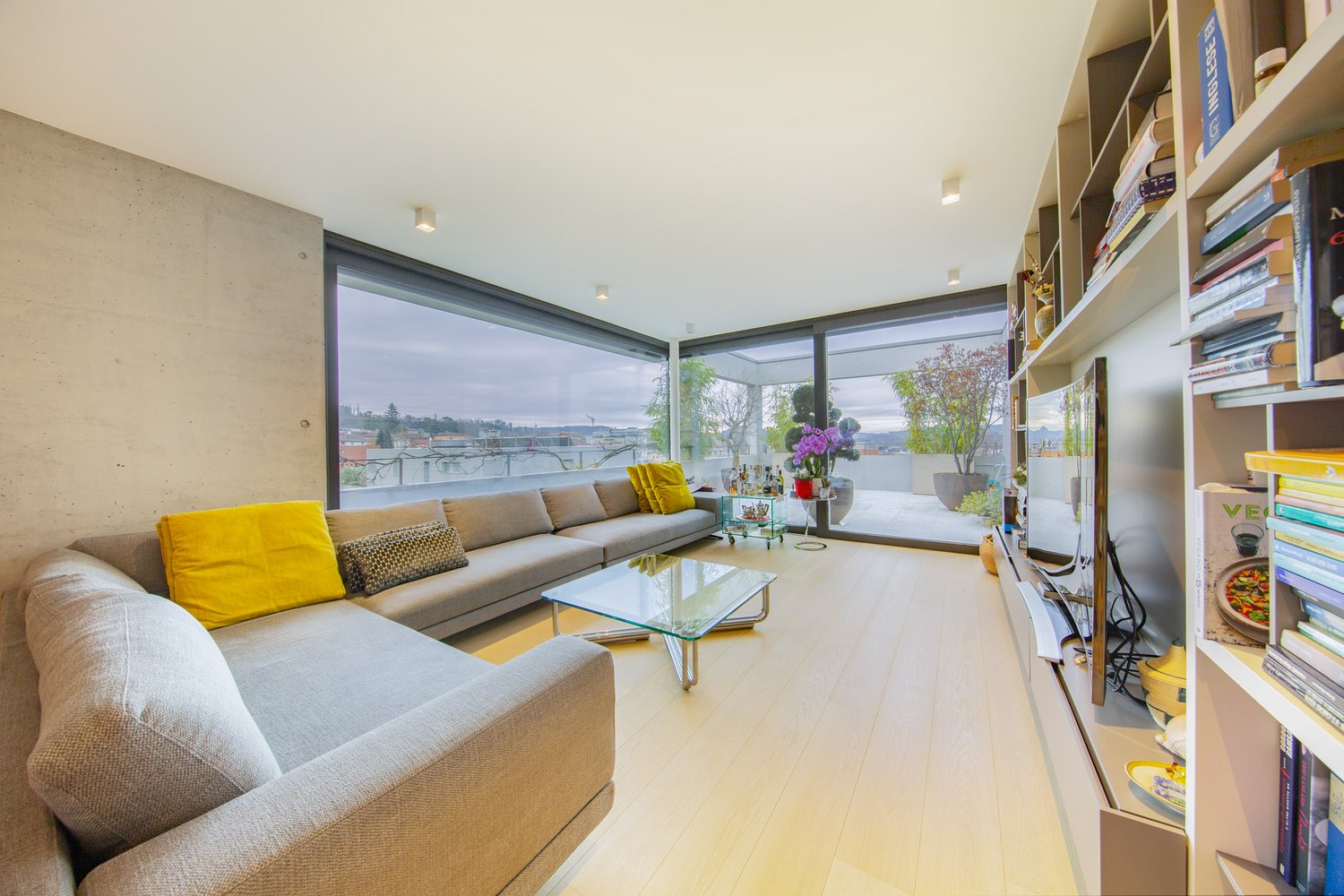 modern living room with large windows, gray sofa, glass coffee table, wooden floor, TV, bookshelf