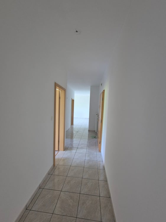 Appartamento 1.5 locali - immerso nel verde 4