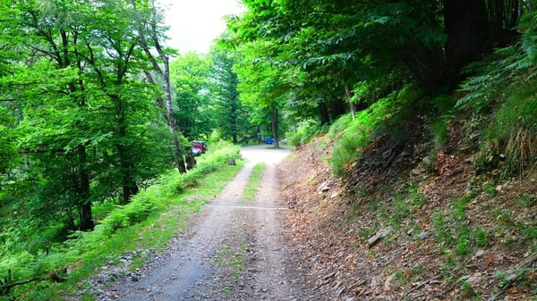 Tesserete - Casa immersa nel verde 10