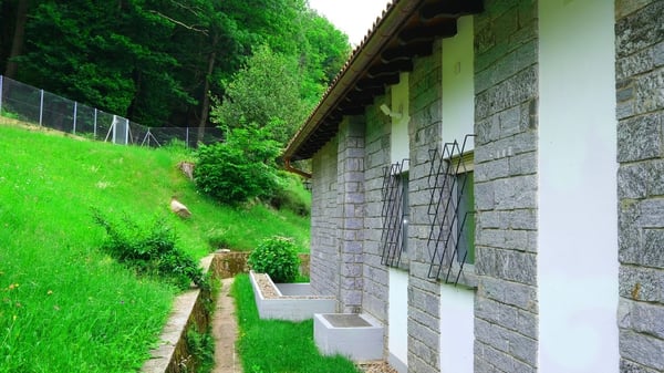 Tesserete - Casa immersa nel verde 13