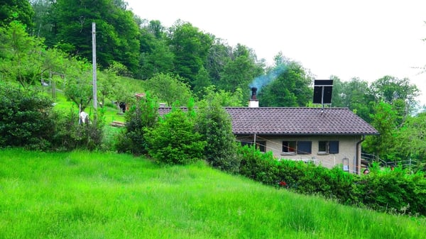 Tesserete - Casa immersa nel verde 11