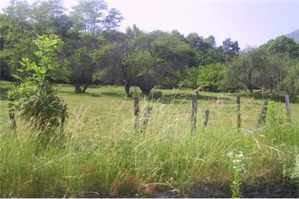 Terreno edificabile in mezzo alla natura 2